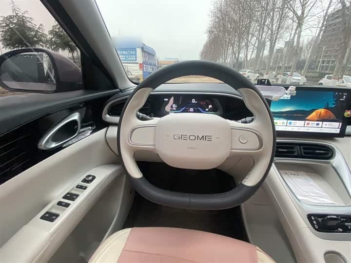Geely Galaxy Geome 2026 2026款 310km 青春版
