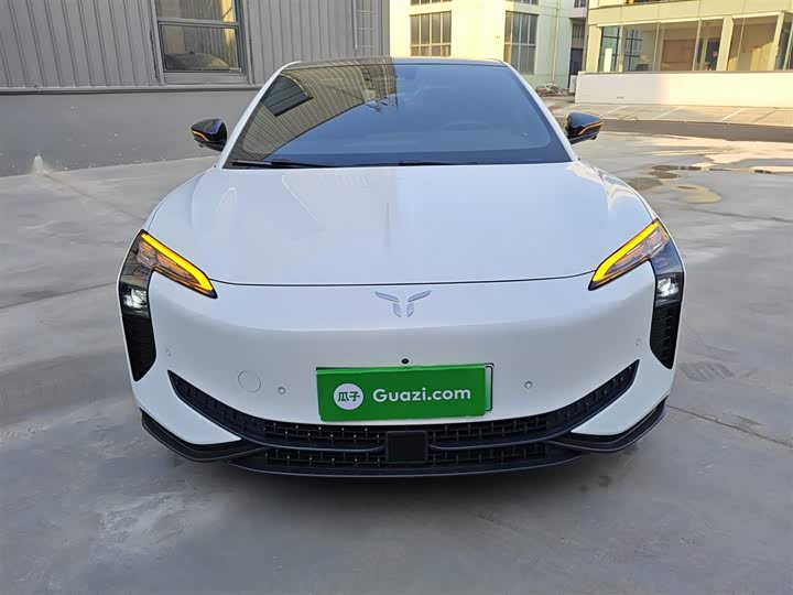 Hongqi EH7 2024 2024款 690 Pro