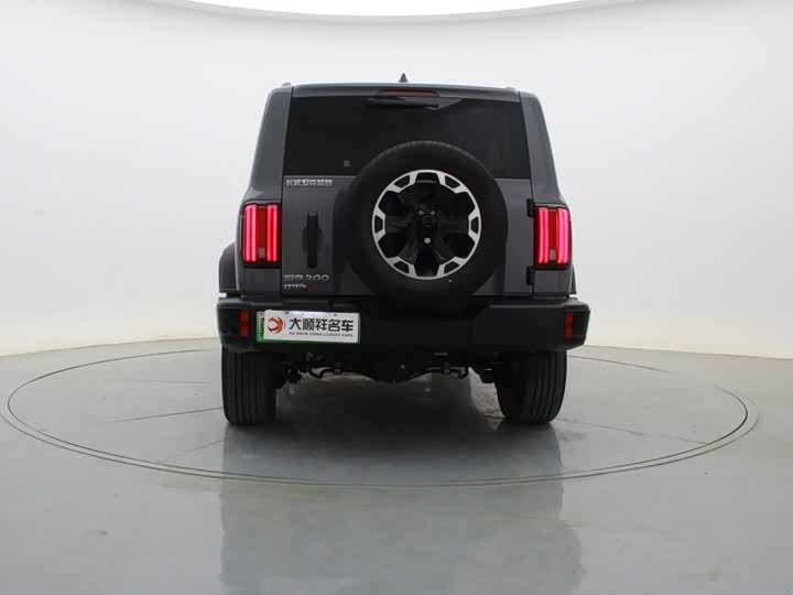 Tank 300 Hybrid 2025 2025款 Hi4-T 37.1kWh