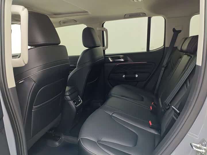 Tank 300 Hybrid 2025 2025款 Hi4-T 37.1kWh