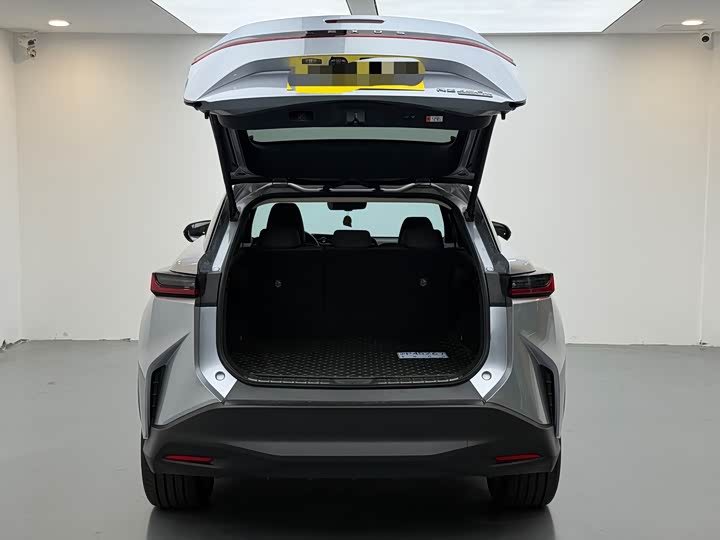 Lexus RZ 2023 2023款 450e 四驱纵享版