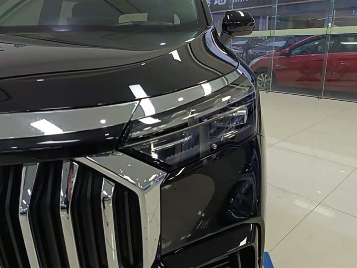 Geely Okavango L 2024 2024款 2.0T DCT尊贵型