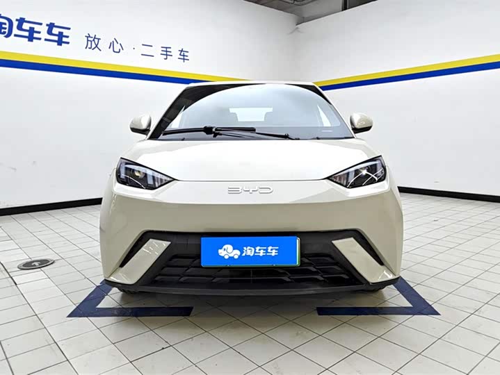 BYD Seagull 2025 2025款 305km 活力版