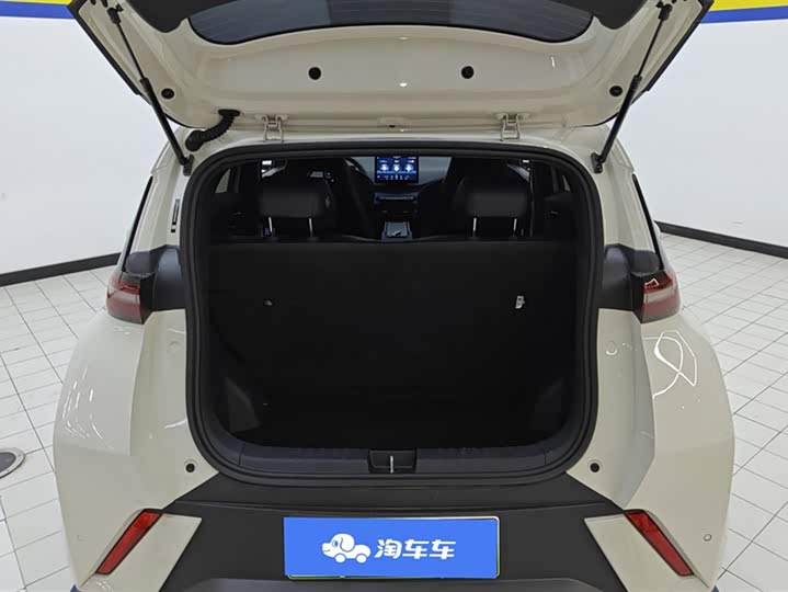 BYD Seagull 2025 2025款 305km 活力版