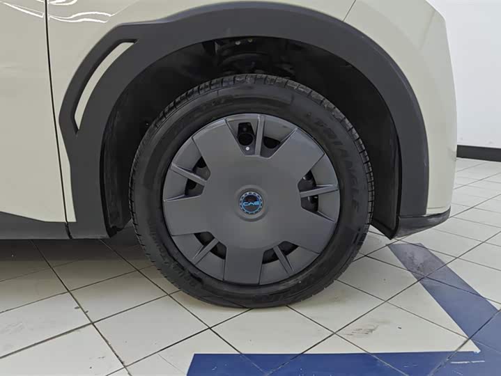 BYD Seagull 2025 2025款 305km 活力版