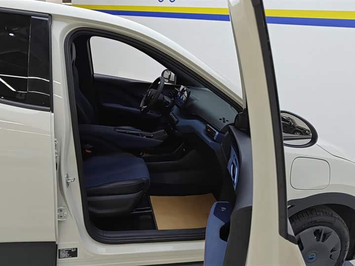 BYD Seagull 2025 2025款 305km 活力版