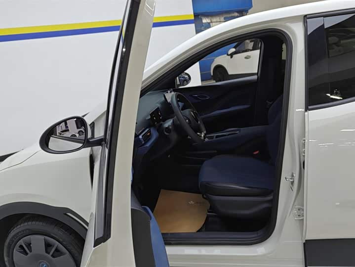 BYD Seagull 2025 2025款 305km 活力版