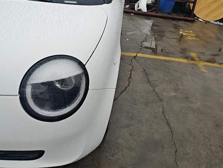 Changan Qiyuan (Nevo) Lumin 2025 2025款 205km 香沁款