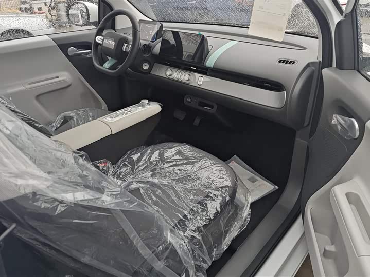 Changan Qiyuan (Nevo) Lumin 2025 2025款 205km 香沁款