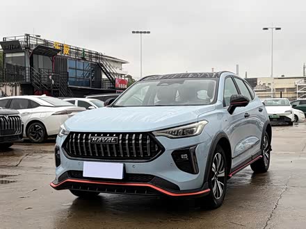 Haval Chitu 2022 2022款 1.5L DHT王者兔
