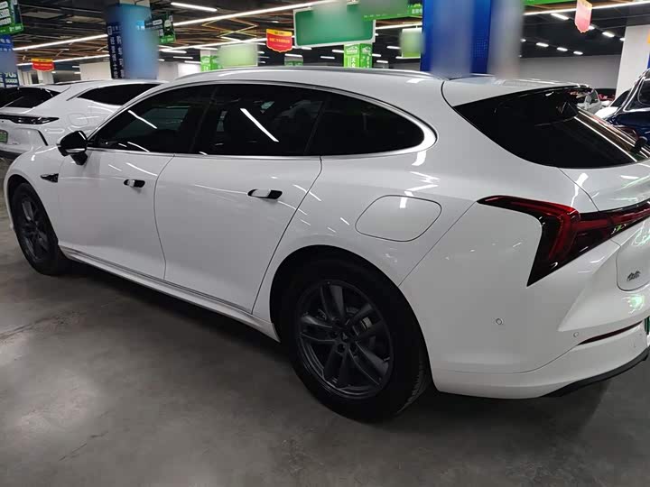 2024 Hozon S Hunting