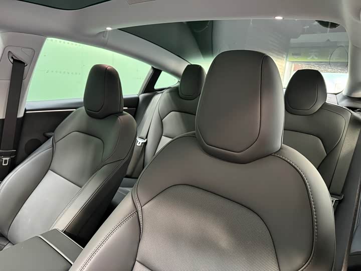 Tesla Model 3 2025 2025款 改款 长续航全轮驱动版