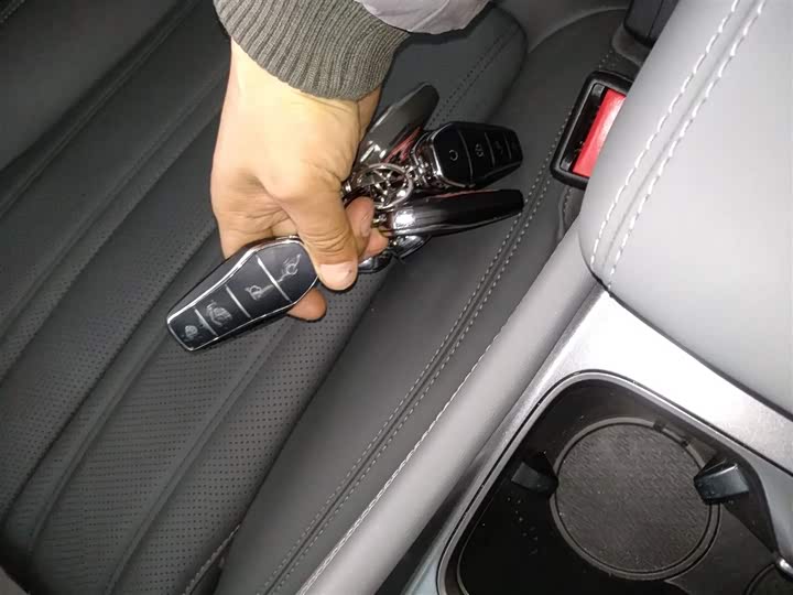 BYD Song L 2025 2025款 智驾版 662km 激光雷达卓越型