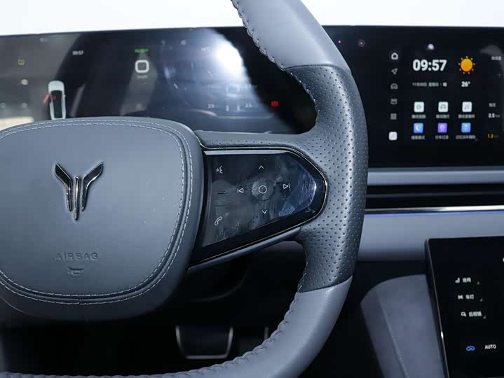 Voyah Passion 2024 2024款 PHEV 四驱超长续航行政版