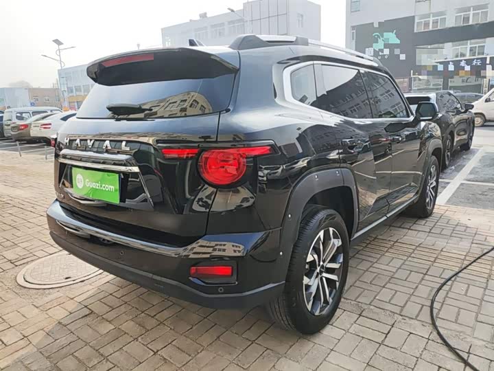 Haval H-Dog 2023 2023款 1.5T 两驱潮野版Plus