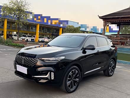 Wey VV6 2021 2021款 2.0T 四驱智驭+