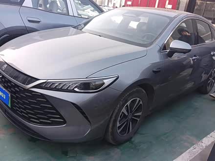 BYD Qin Plus 2025 2025款 DM-i 智驾版 120KM超越型