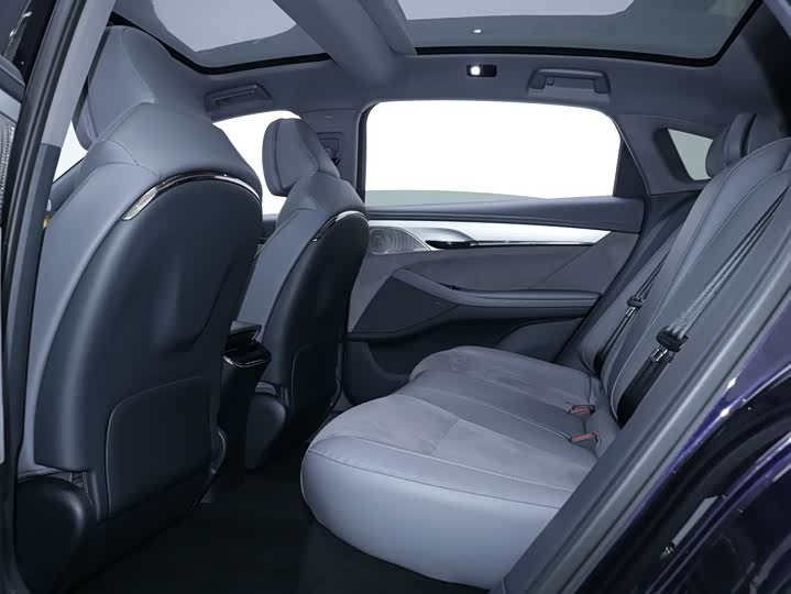 Voyah Passion 2024 2024款 PHEV 四驱超长续航旗舰版