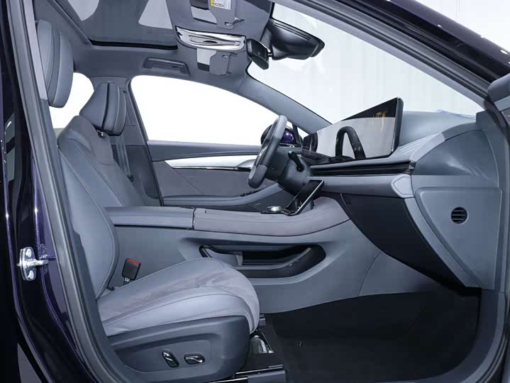 Voyah Passion 2024 2024款 PHEV 四驱超长续航旗舰版