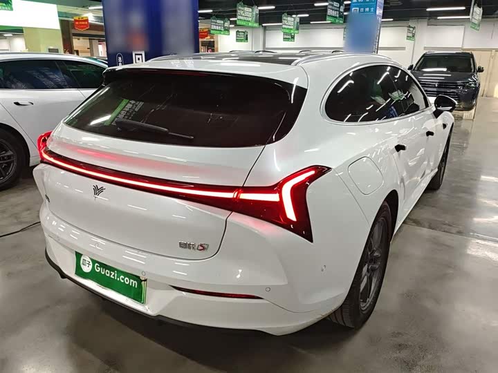 Hozon S Hunting 2024 2024款 增程300 标准版