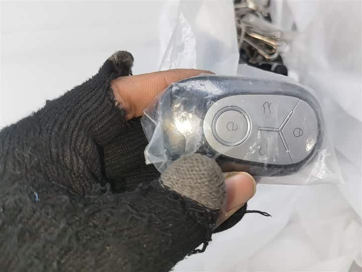 Geely Galaxy Geome 2026 2026款 310km 青春版