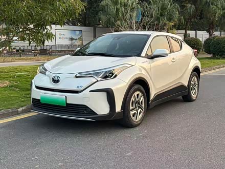 Toyota Izoa EV 2020 2020款 E·智享版