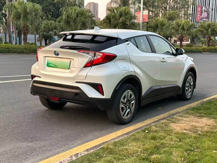 Toyota Izoa EV 2020 2020款 E·智享版