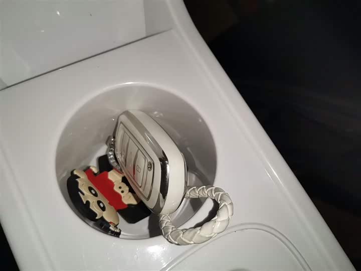 Geely Galaxy Panda Mini 2025 2025款 熊猫mini 210km 元气熊