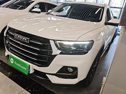 Haval H6 2025 2025款 1.5T 国潮都市版