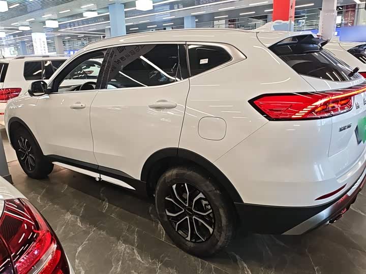 Haval H6 2025 2025款 1.5T 国潮都市版