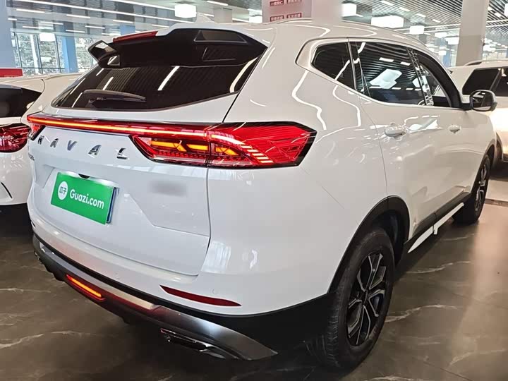 Haval H6 2025 2025款 1.5T 国潮都市版