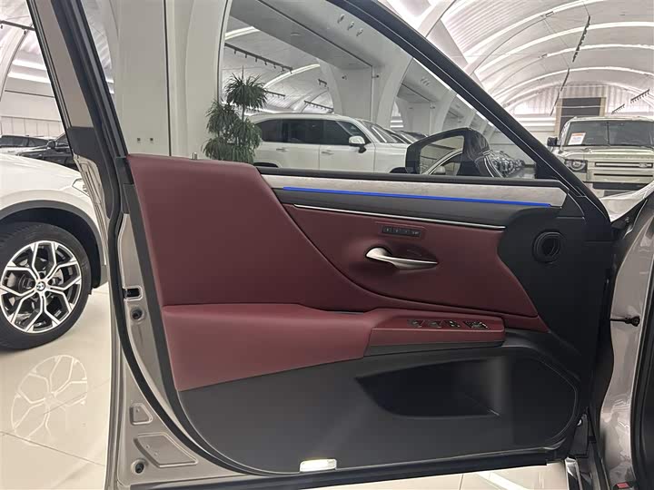 Lexus ES 2025 2025款 200 臻享版