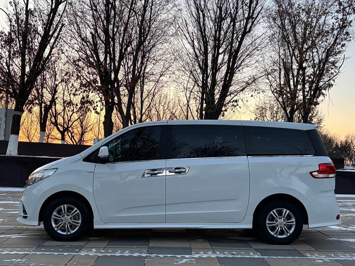 Maxus G10 2021 2021款 2.0T 自动智享版 汽油 7座