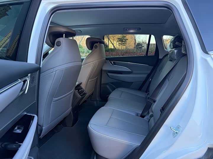 Buick Electra E5 2025 2025款 620KM尊享版