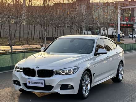 BMW 3 Series GT 2020 2020款 320i M运动套装