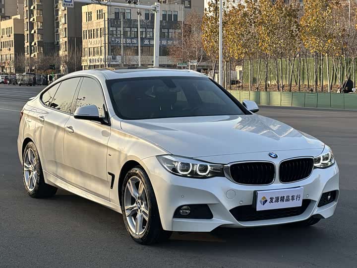 BMW 3 Series GT 2020 2020款 320i M运动套装