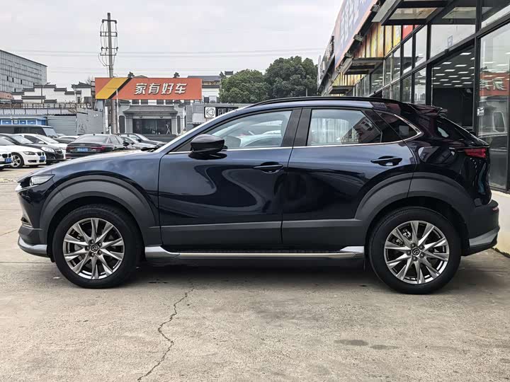 Mazda CX-30 EV 2021 2021款 纯电尊享版