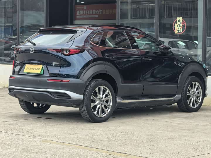 Mazda CX-30 EV 2021 2021款 纯电尊享版