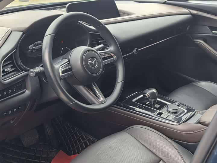 Mazda CX-30 EV 2021 2021款 纯电尊享版