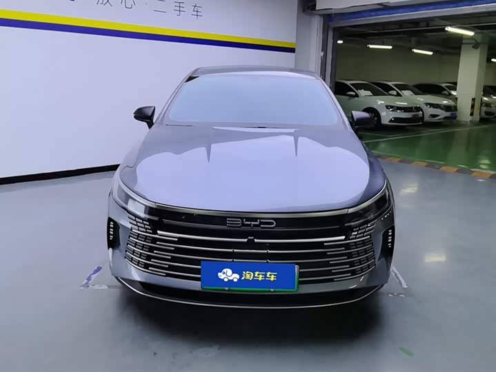 BYD Destroyer 05 2024 2024款 荣耀版 DM-i 55KM 豪华型