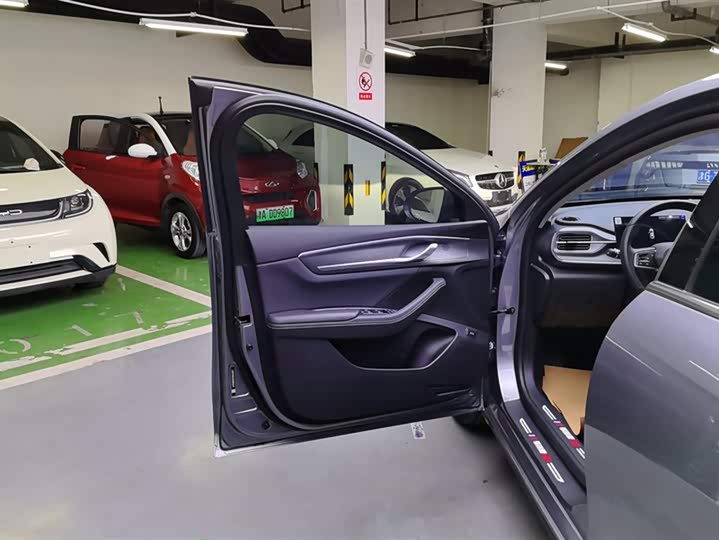 BYD Destroyer 05 2024 2024款 荣耀版 DM-i 55KM 豪华型