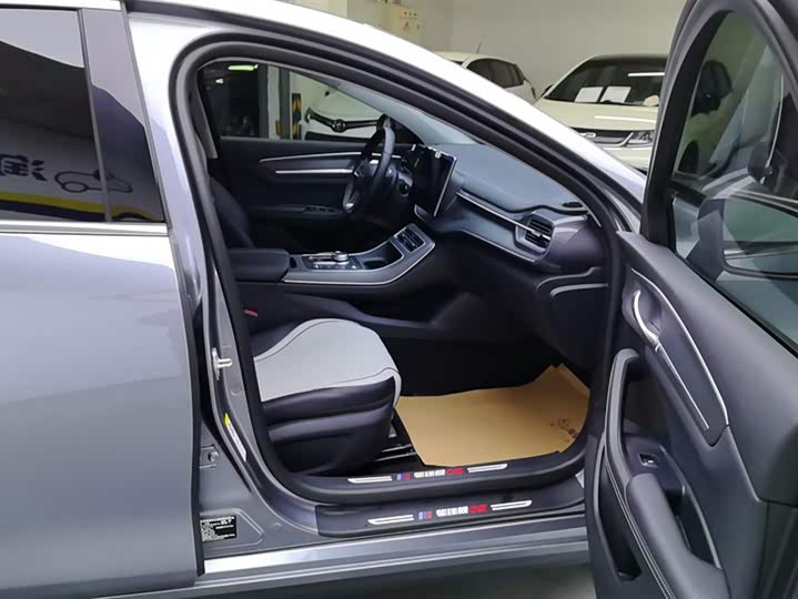 BYD Destroyer 05 2024 2024款 荣耀版 DM-i 55KM 豪华型