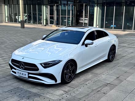 Mercedes-Benz CLS-Class 2023 2023款 CLS 300 动感型