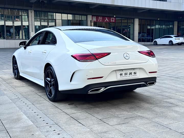 Mercedes-Benz CLS-Class 2023 2023款 CLS 300 动感型