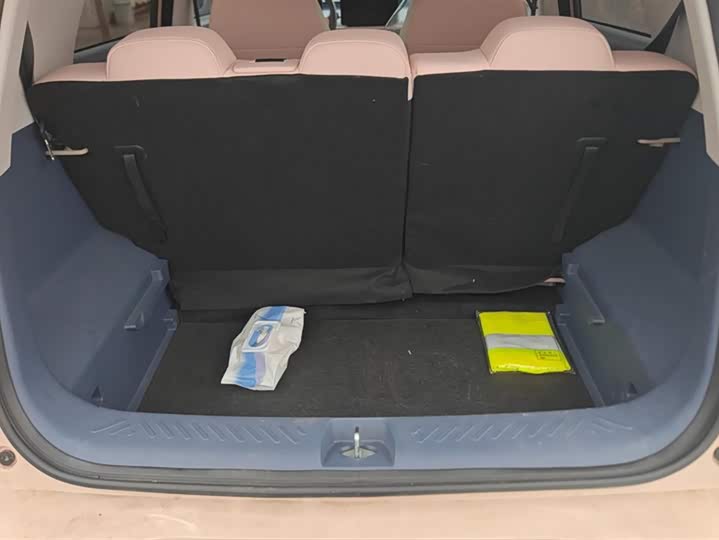 Chery QQ 2025 2025款 305km 舒享型