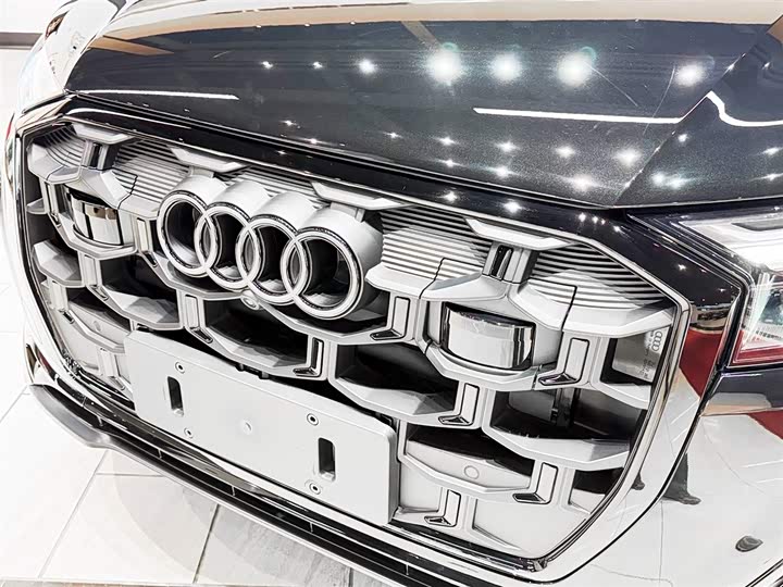 Audi Q7 2025 2025款 55 TFSI quattro S line黑武士型