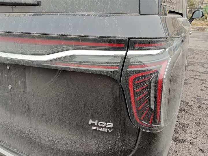 Hongqi HQ9 Hybrid 2024 2024款 2.0T 四驱商务版