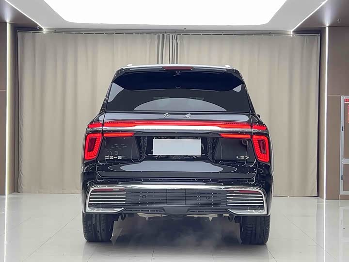 Hongqi LS7 (Guoyao) 2022 2022款 4.0T 典雅旗航版 6座