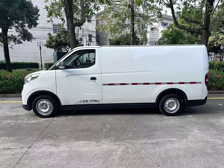 2023 Maxus EV30