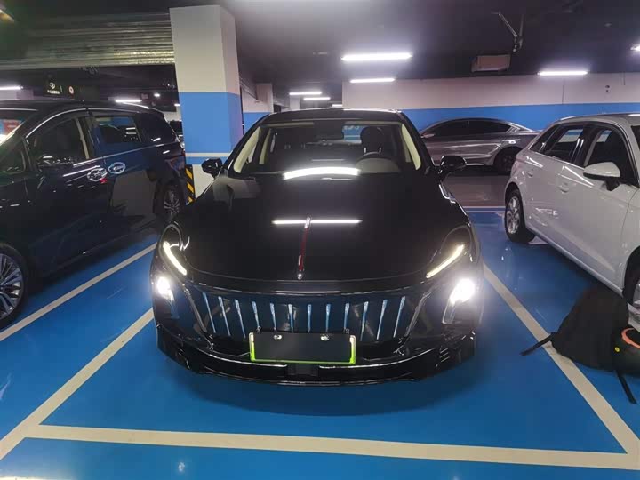 Hongqi E-QM5 2024 2024款 500km 出行版